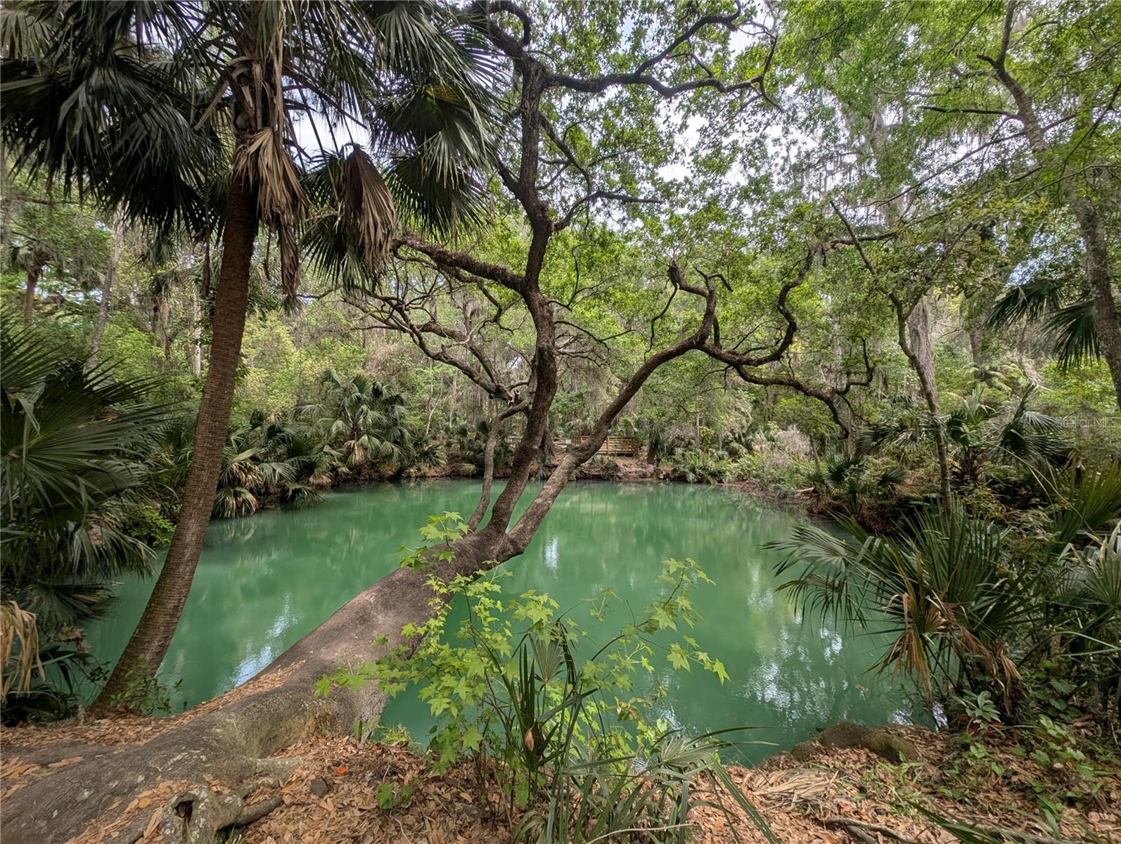 EDGEWATER CONDO APTS - Residential