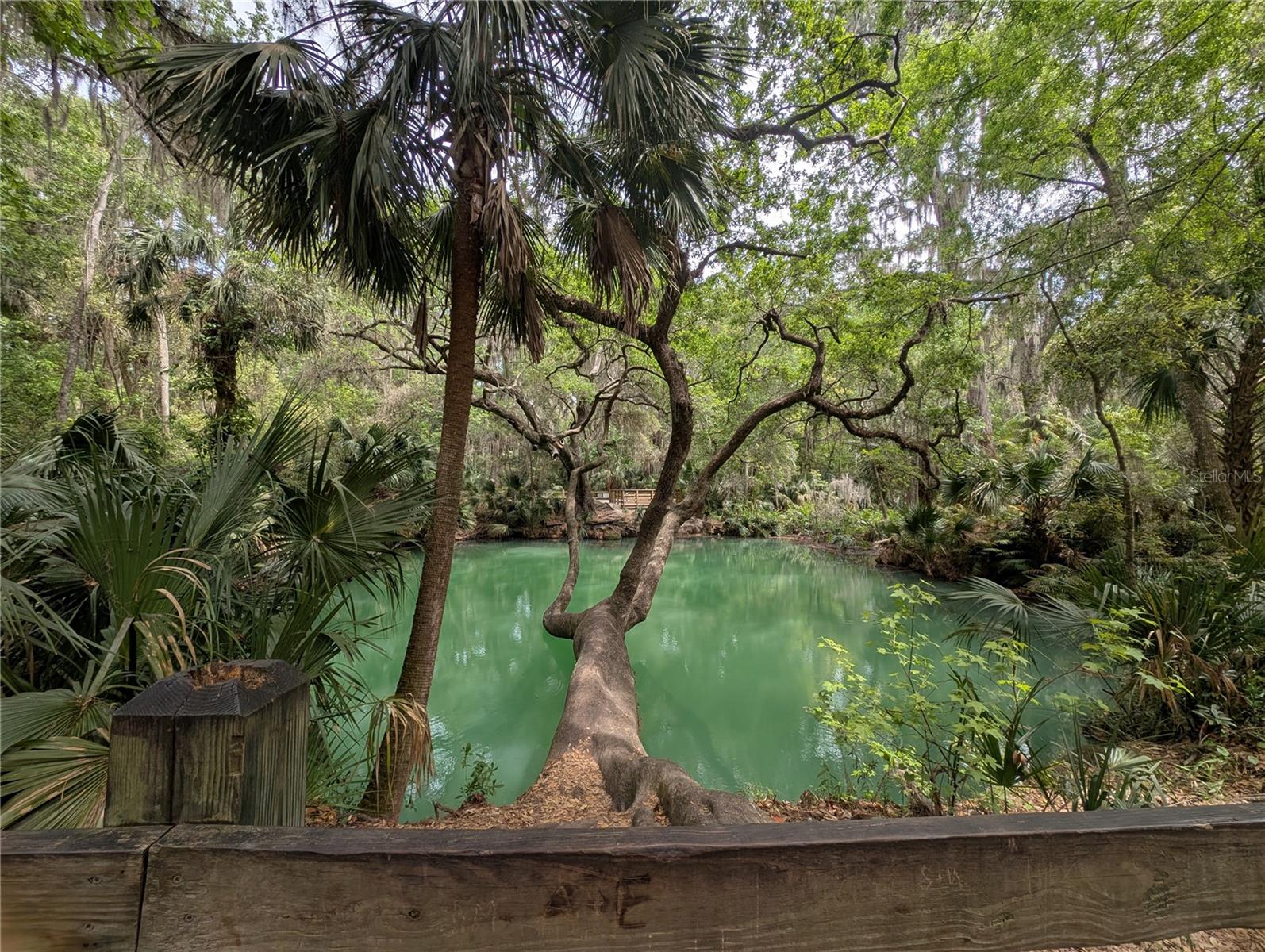 EDGEWATER CONDO APTS - Residential