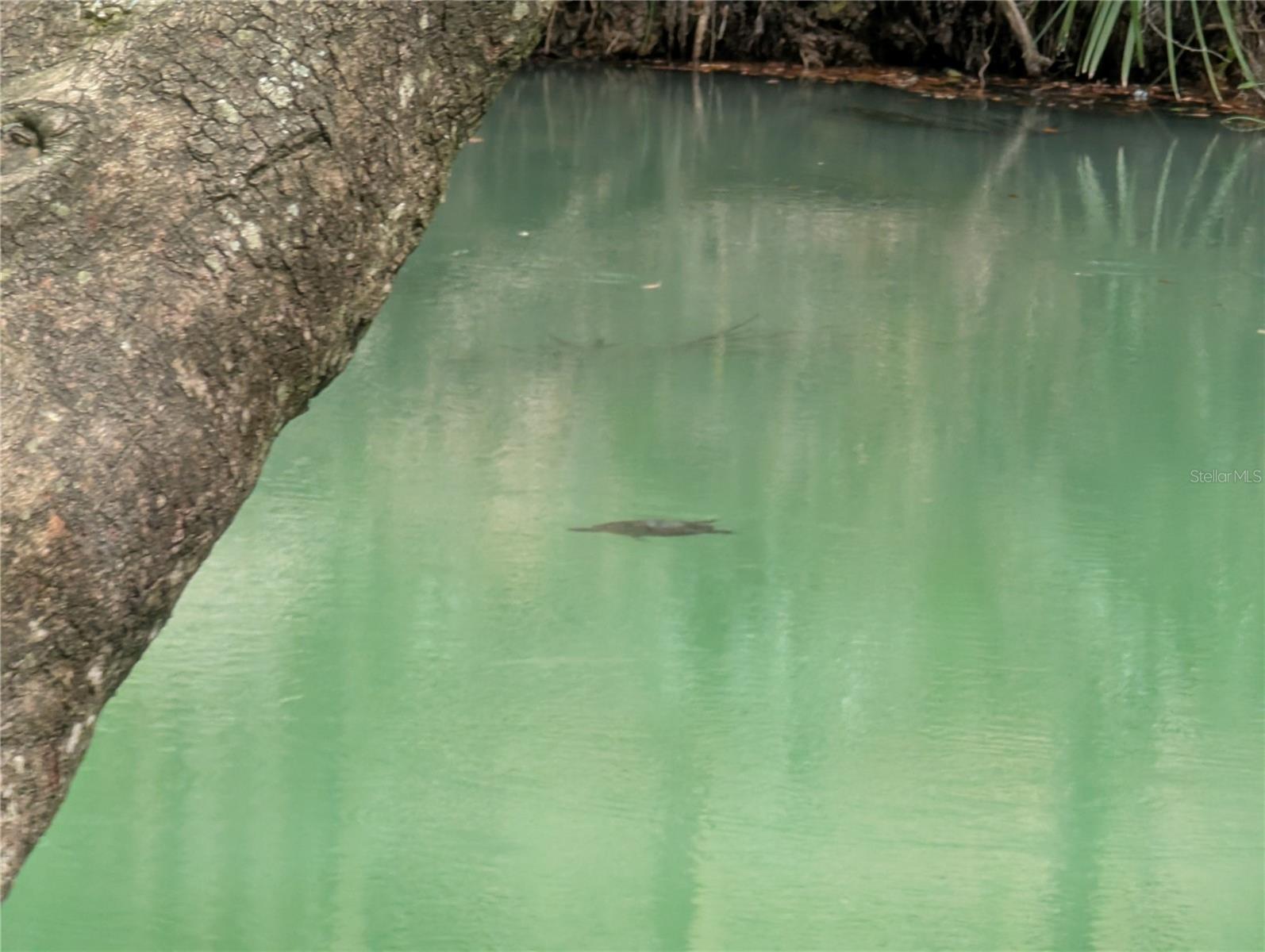 EDGEWATER CONDO APTS - Residential