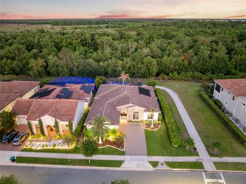 Photo of 13391 Alderley Drive, Orlando, FL 32832 (MLS # O6402080)