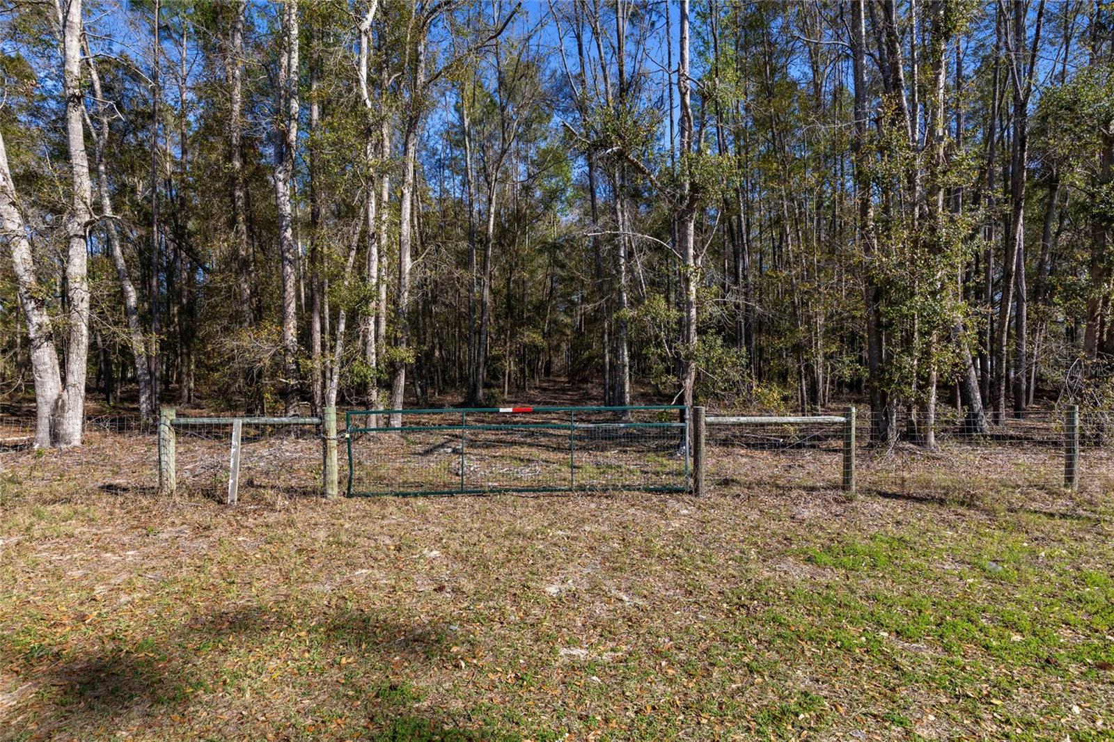 Listing image 4