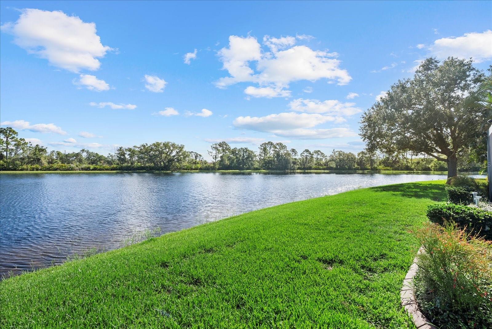 STONEYBROOK AT VENICE - Residential