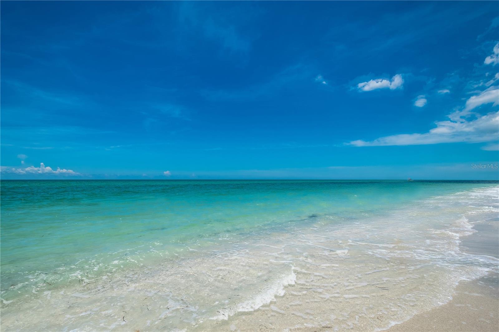 MANASOTA LAND & TIMBER CO - Land