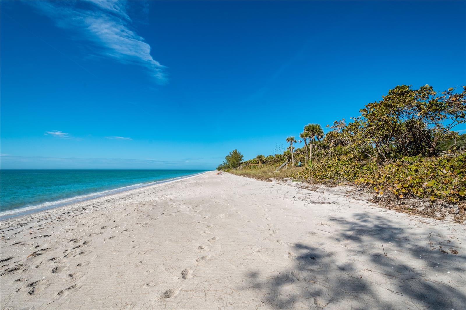 MANASOTA LAND & TIMBER CO - Land