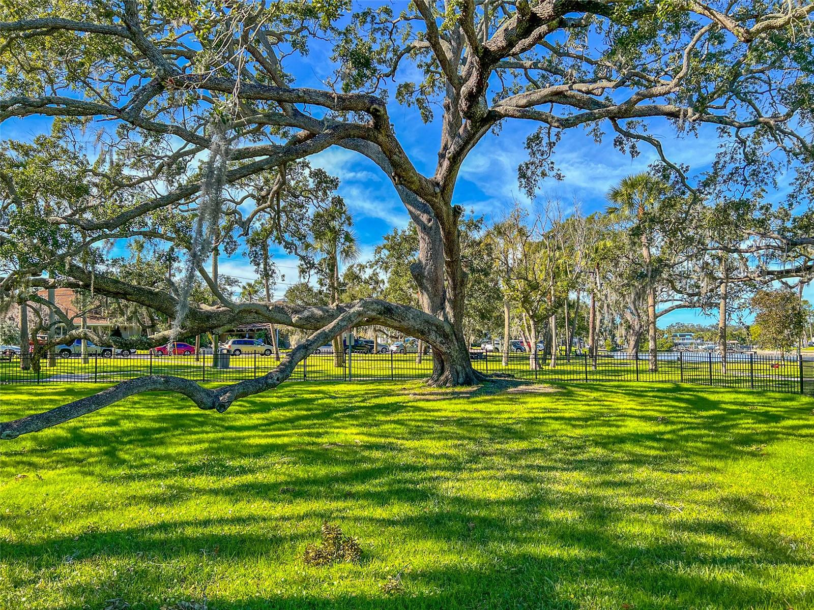 BAYOU VILLAGE - Residential