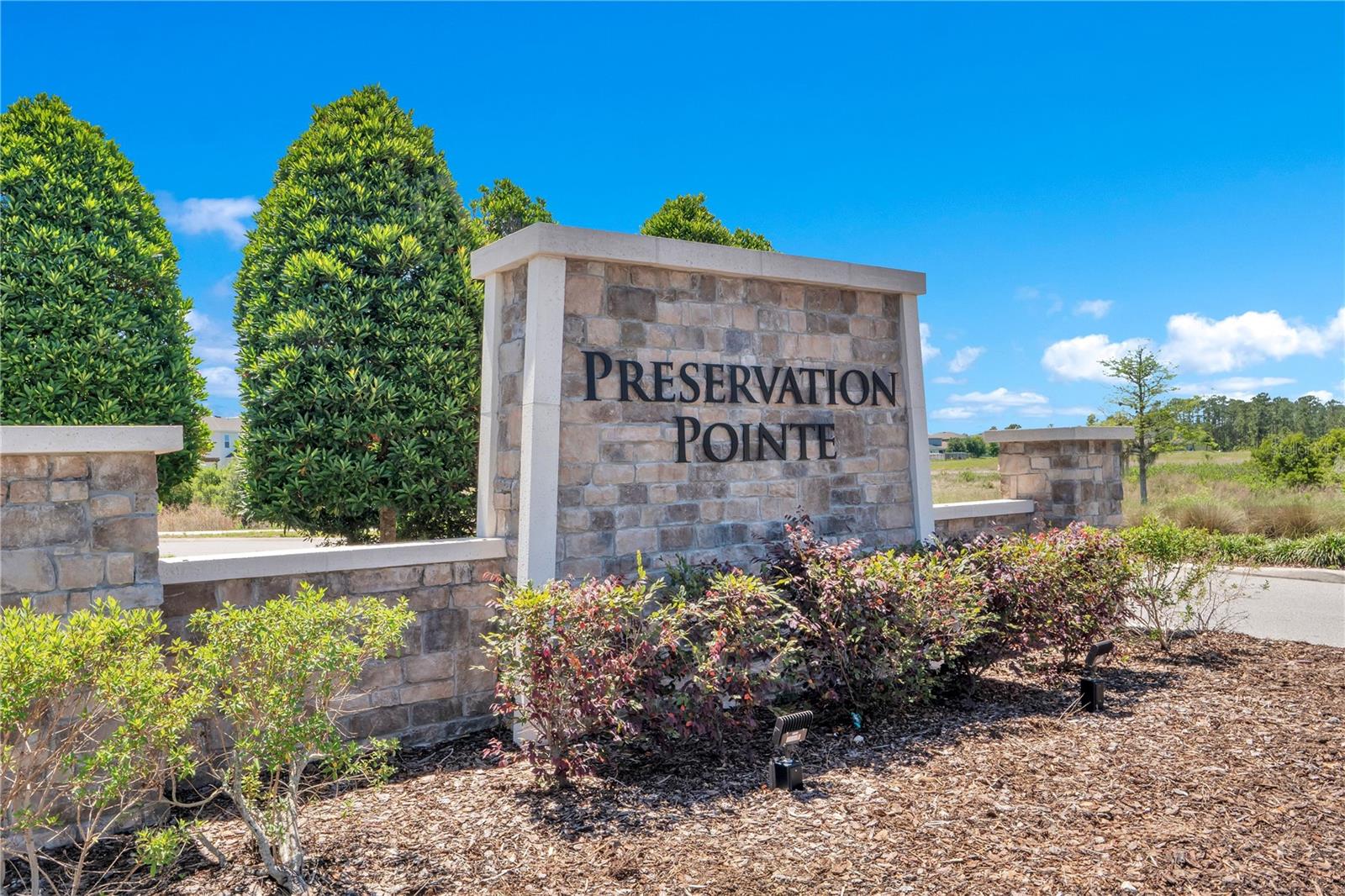 PRESERVATION POINTE PH 1 - Residential