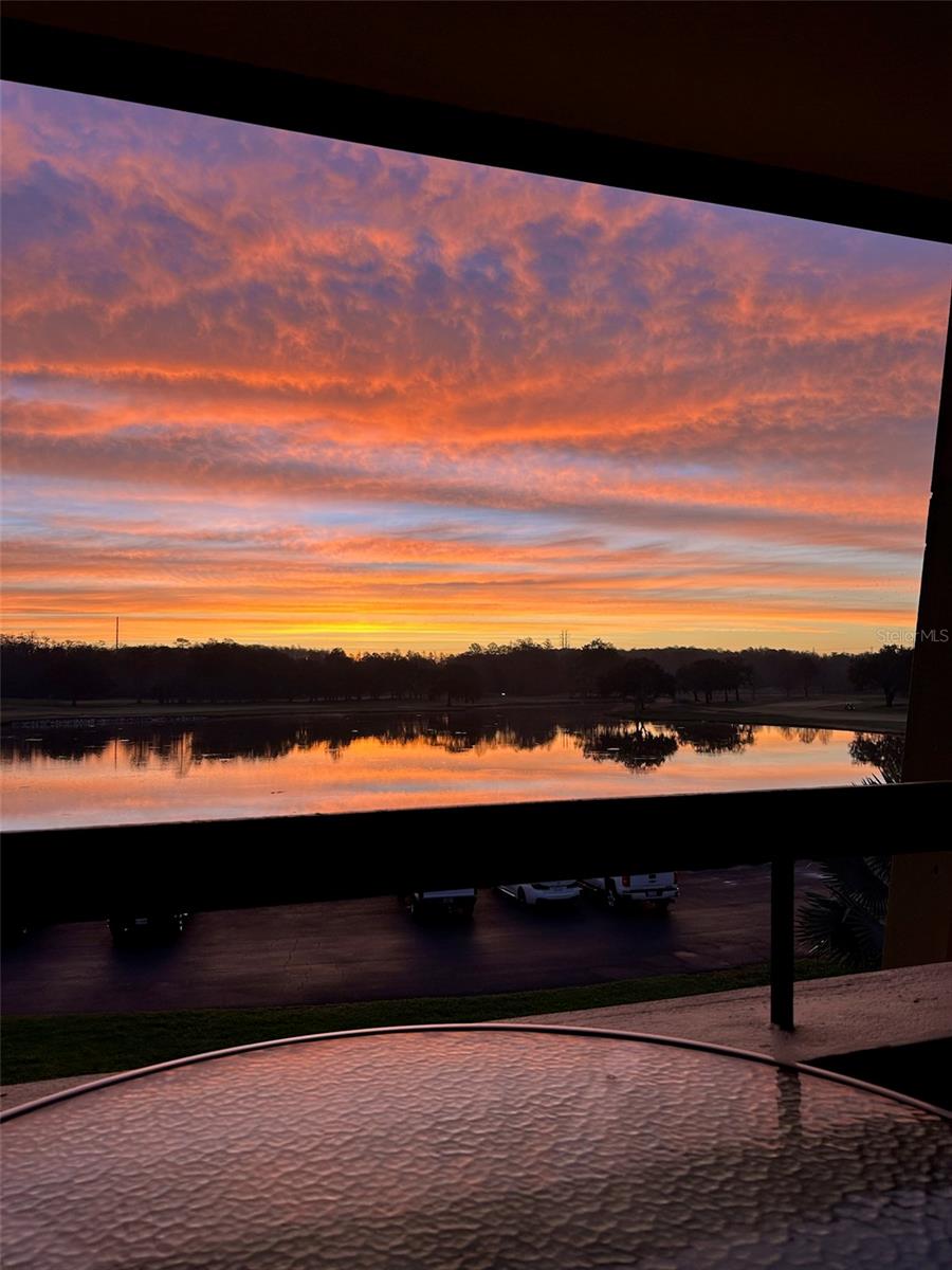 INNISBROOK - Residential Lease