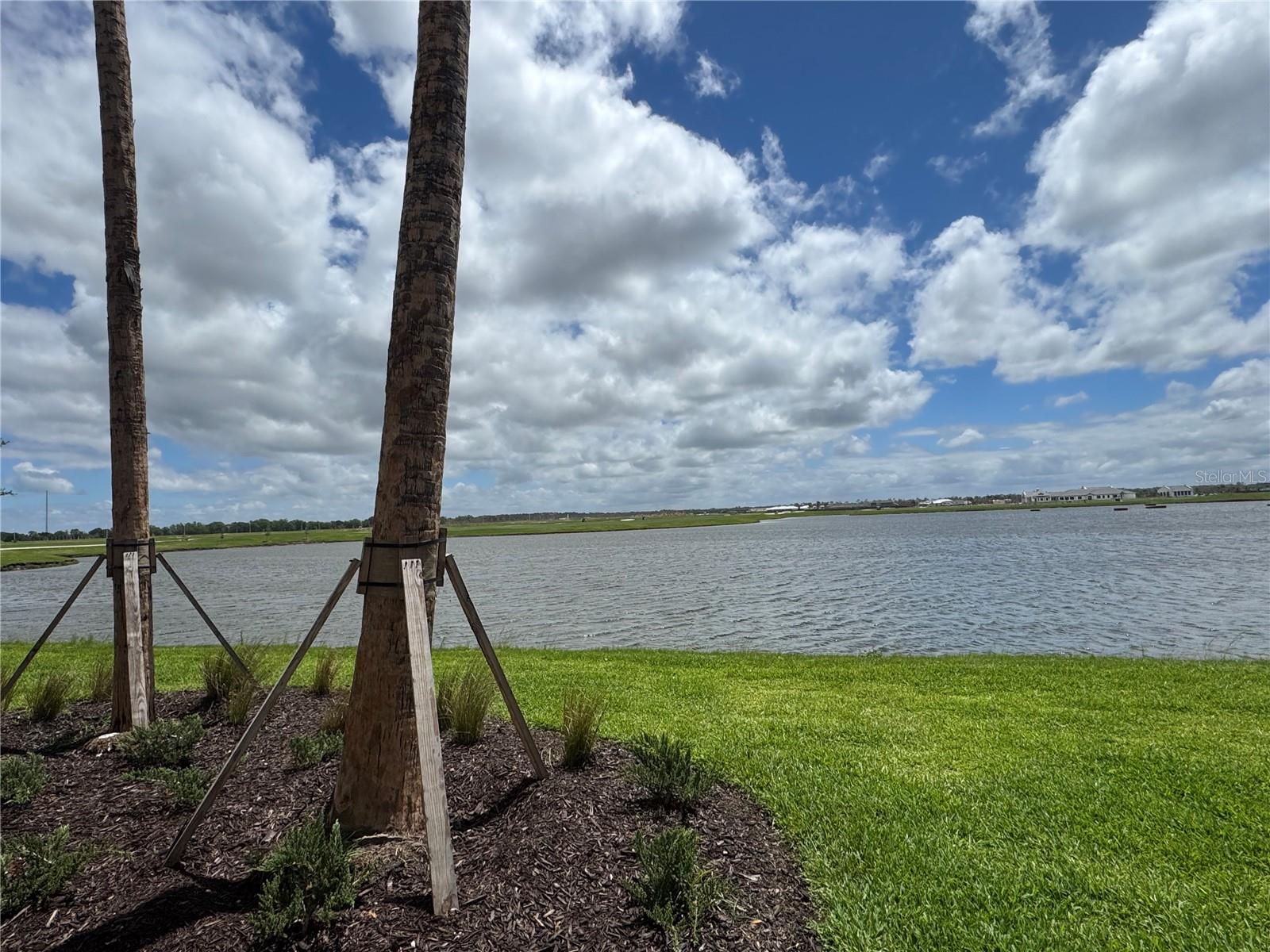 CALUSA - Residential