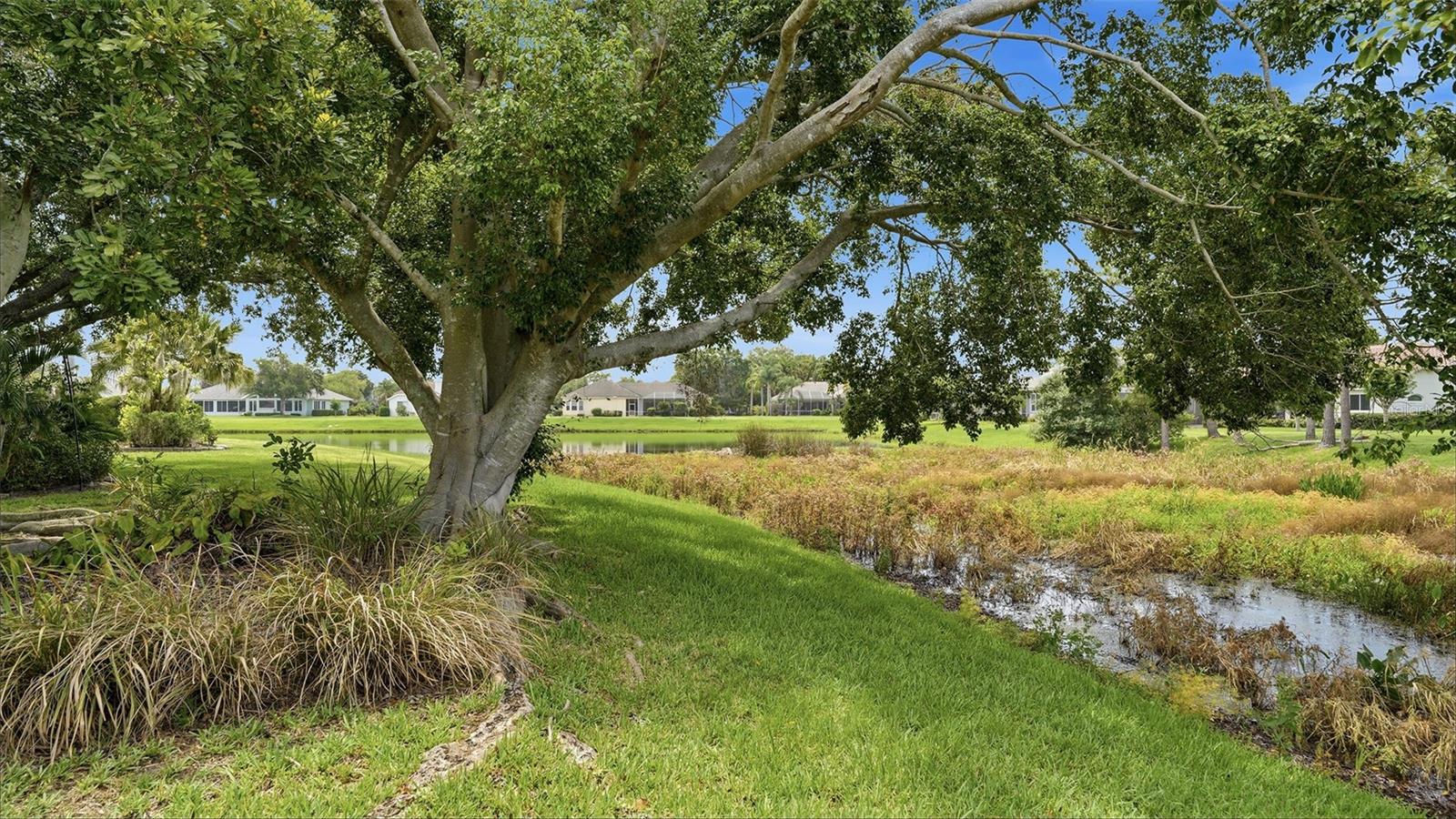 RIVER CLUB SOUTH SUBPHASE I - Residential