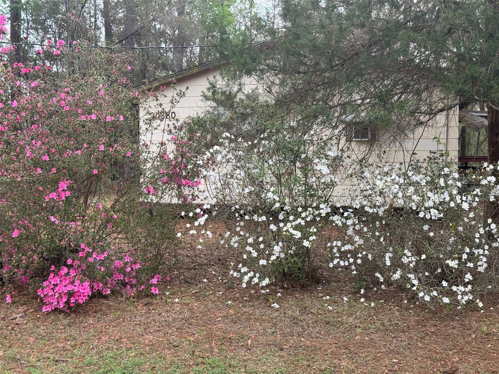 RAINBOW ACRES - Residential