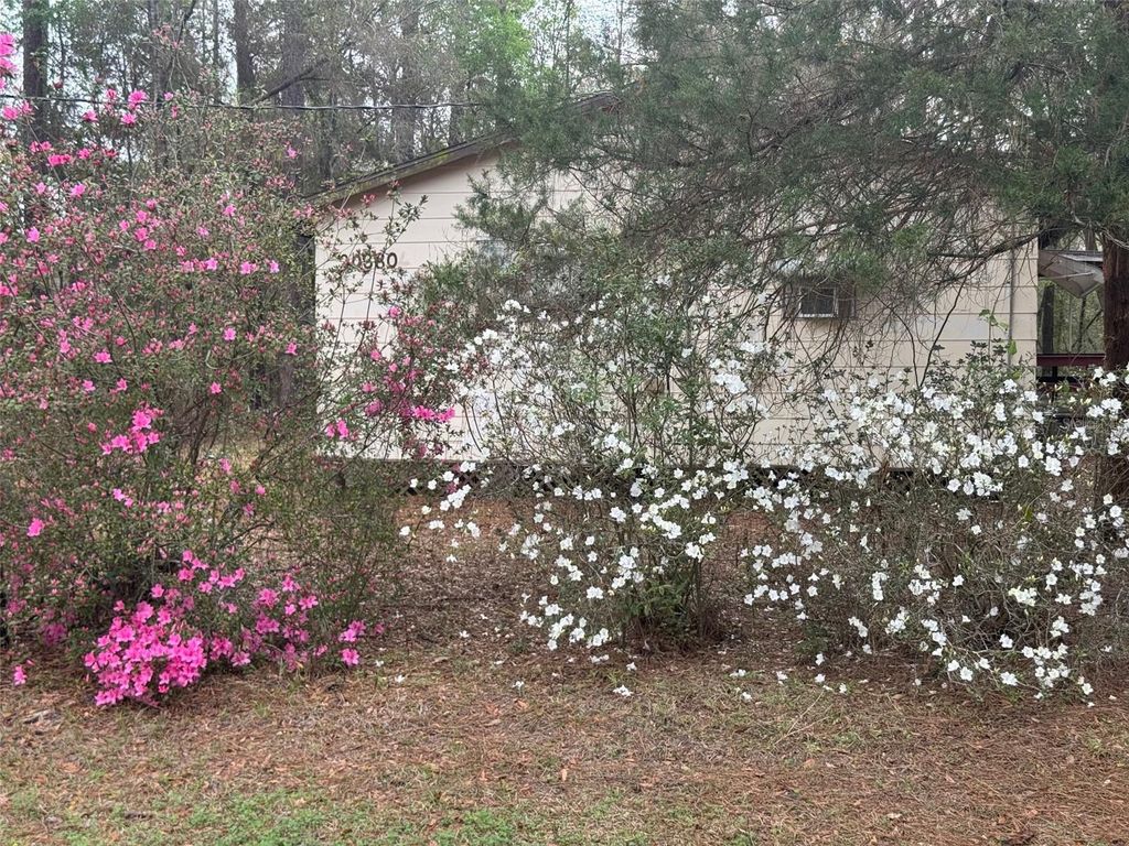 Photo of 5435 SW 204th Avenue, Dunnellon, FL 34431 (MLS # OM720729)