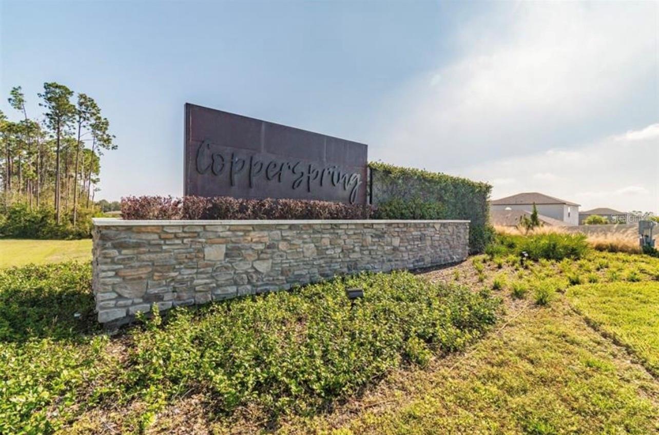 6068 APPLE SNAIL AVENUE
