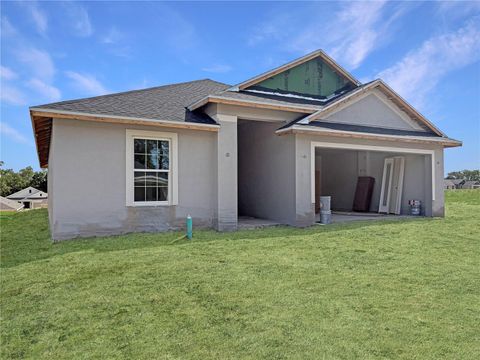 250 VERNY GROVE LANE LEESBURG FL 34748