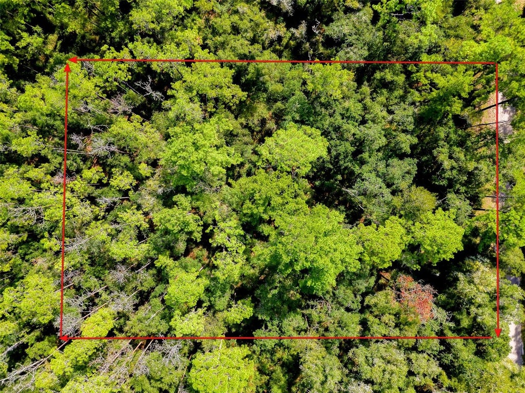 Photo of 1163 E Odin Drive, Citrus Springs, FL 34434 (MLS # TB8548755)