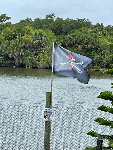 A home in MERRITT ISLAND