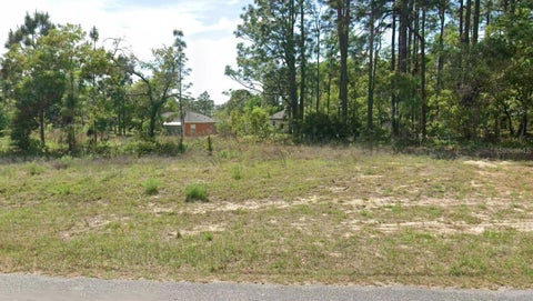 Photo of 7260 N Waterfall Terrace, Citrus Springs, FL 34434 (MLS # A4709162)