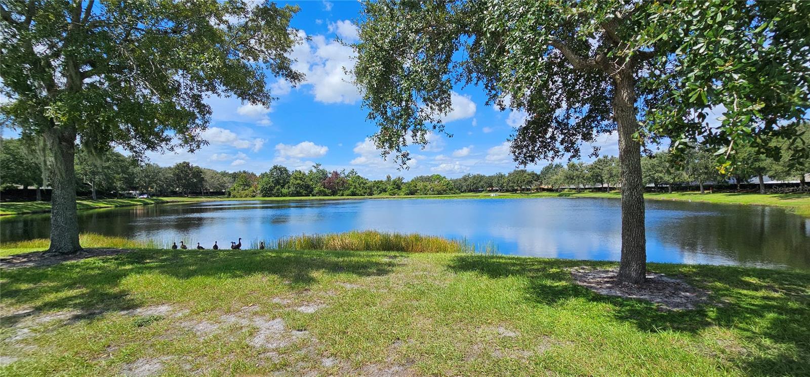 PANTHER TRACE PH 2B-2 - Residential Lease