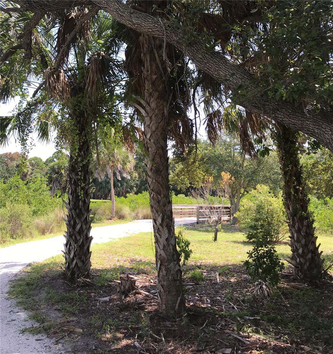 BAYVIEW TERRACE ROY SCOTTS - Land