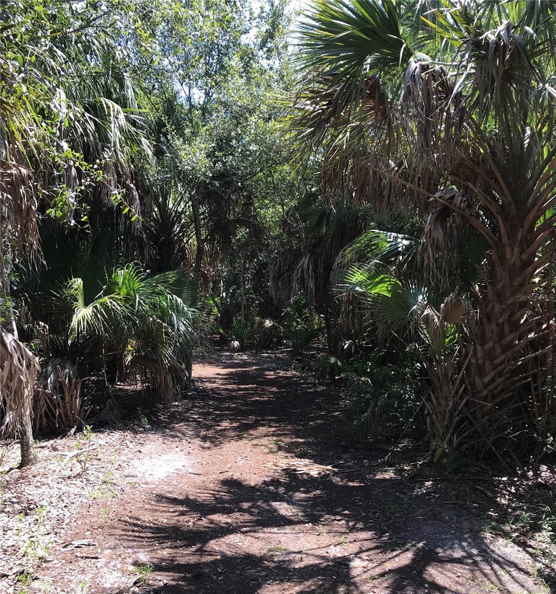 BAYVIEW TERRACE ROY SCOTTS - Land