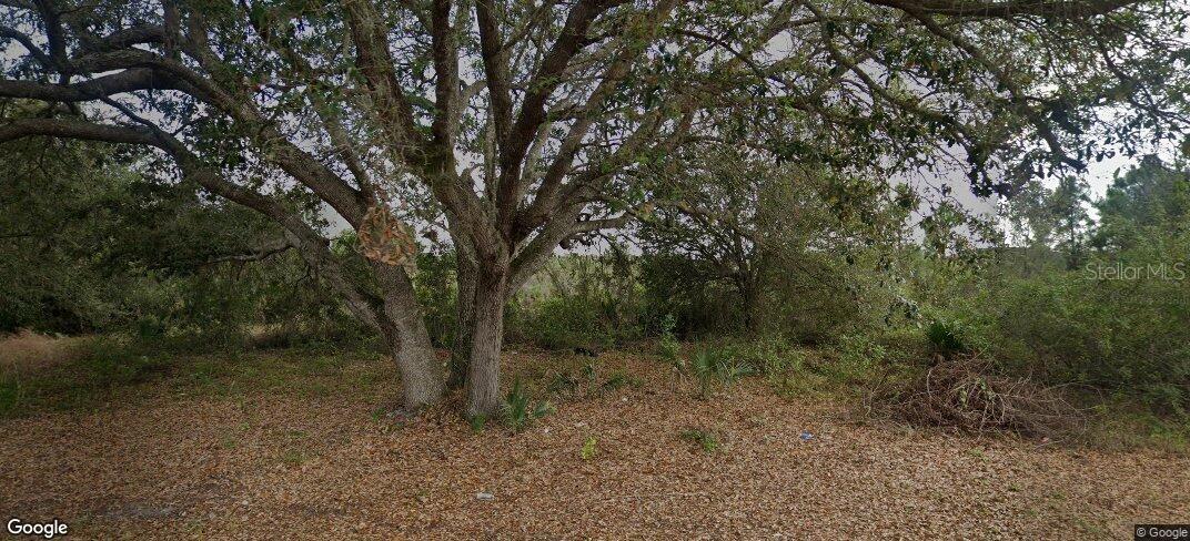Discover the freedom to create your own vision on this expansive, undeveloped parcel of land. Whether you dream of building a custom home, developing a retreat, or simply owning a piece of wide-open space, this property offers unlimited potential. The land is raw and ready for development—perfect for those seeking privacy, adventure, or an investment in one of the fastest-growing areas. Don’t miss the chance to own this versatile property and make it your own. Opportunities like this are rare—secure it today and bring your vision to life!