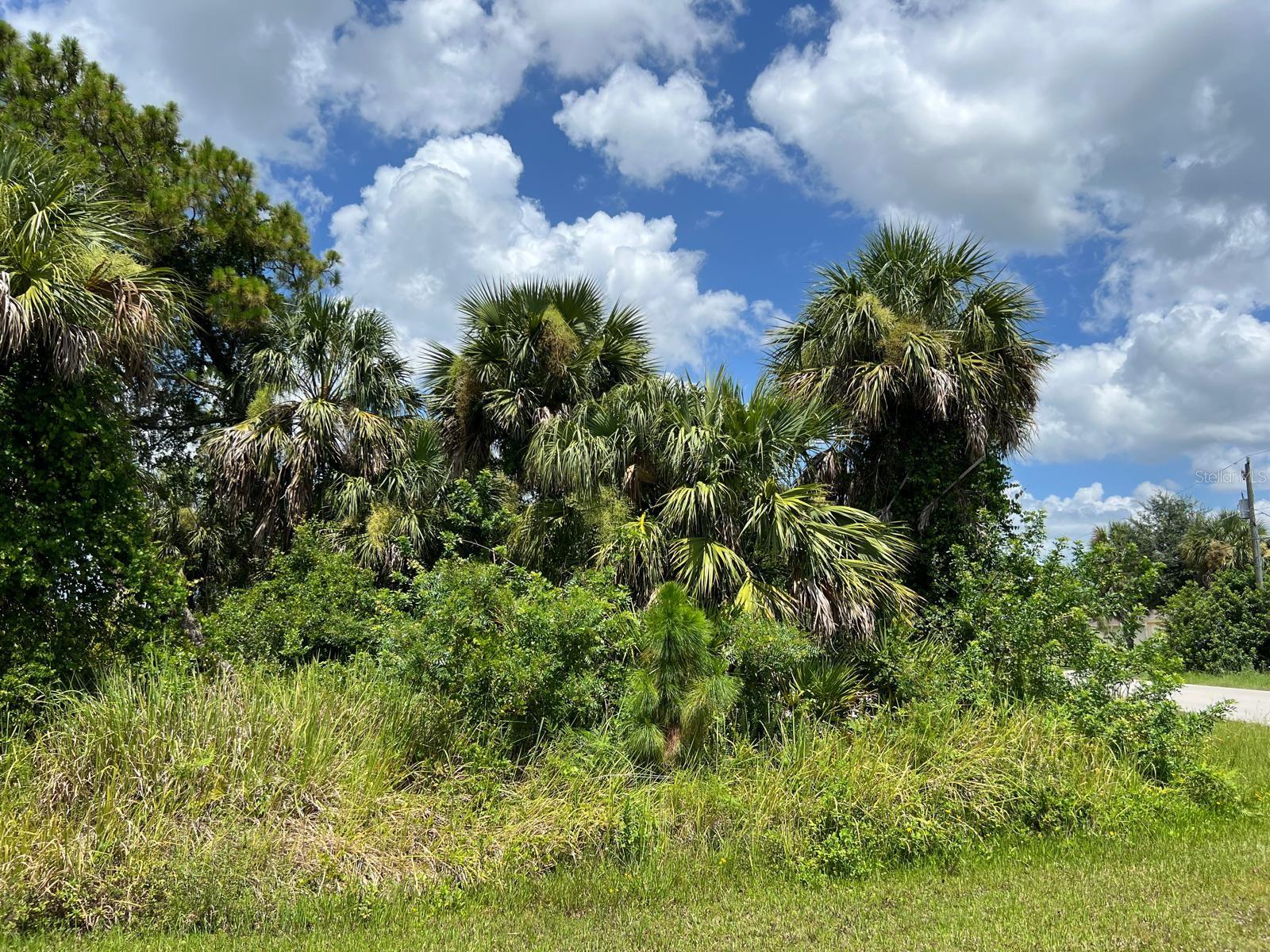 Oversize 11,741 sq ft corner lot in the desirable Port Charlotte Subdivision of North Port. This residential homesite provides extra space to design your home. Located in an area with many newer homes, it is just minutes from I-75 via Toledo Blade, US-41, and a variety of shopping, dining, schools, and parks. Nearby amenities include the Atlanta Braves Spring Training facility, the North Port Aquatic Center with pools, slides, and a lazy river, as well as golf courses, boating, fishing, and the Gulf beaches.