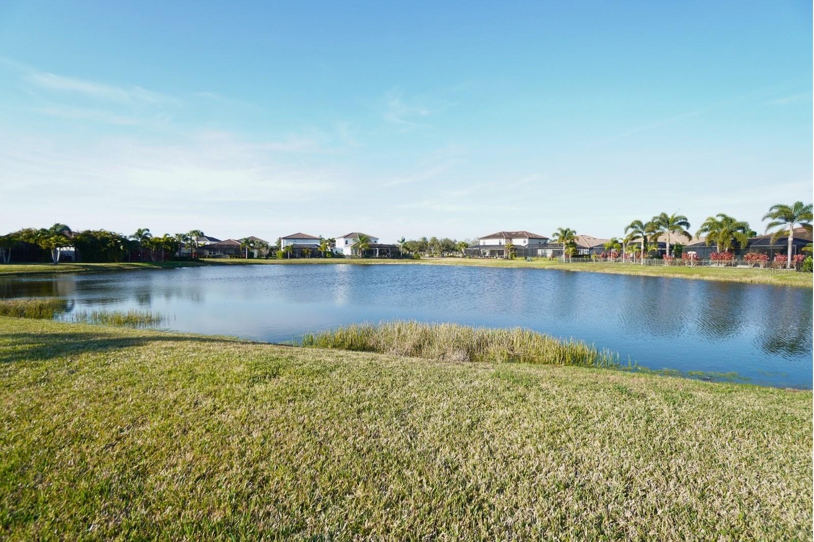 SAVANNA AT LAKEWOOD RANCH PH III 3ABD - Residential