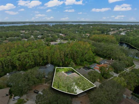 A home in PALM HARBOR