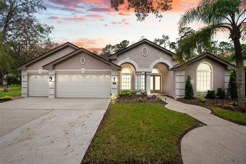 A home in PALM HARBOR