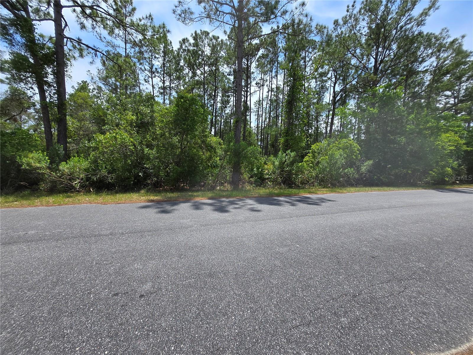 This unimproved one-acre lot in the Royal Trails community offers a blank canvas for potential homeowners or investors looking to build their dream home or hold the land for future use. Royal Trails is a rural, residential community in Lake County, FL, about 40 minutes northwest of Orlando. The area is known for its wooded lots, secluded feel, and the beauty and freedom natural surroundings evoke which will be attractive to buyers looking for privacy and space. This is an equestrian community that allows for 2 horses for each acre and includes deeded access to Lake
Norris so your relaxing days on the boat are just a part of the way of life here. The community is unincorporated, meaning fewer strict zoning rules compared to city limits and significantly lower HOA fees.