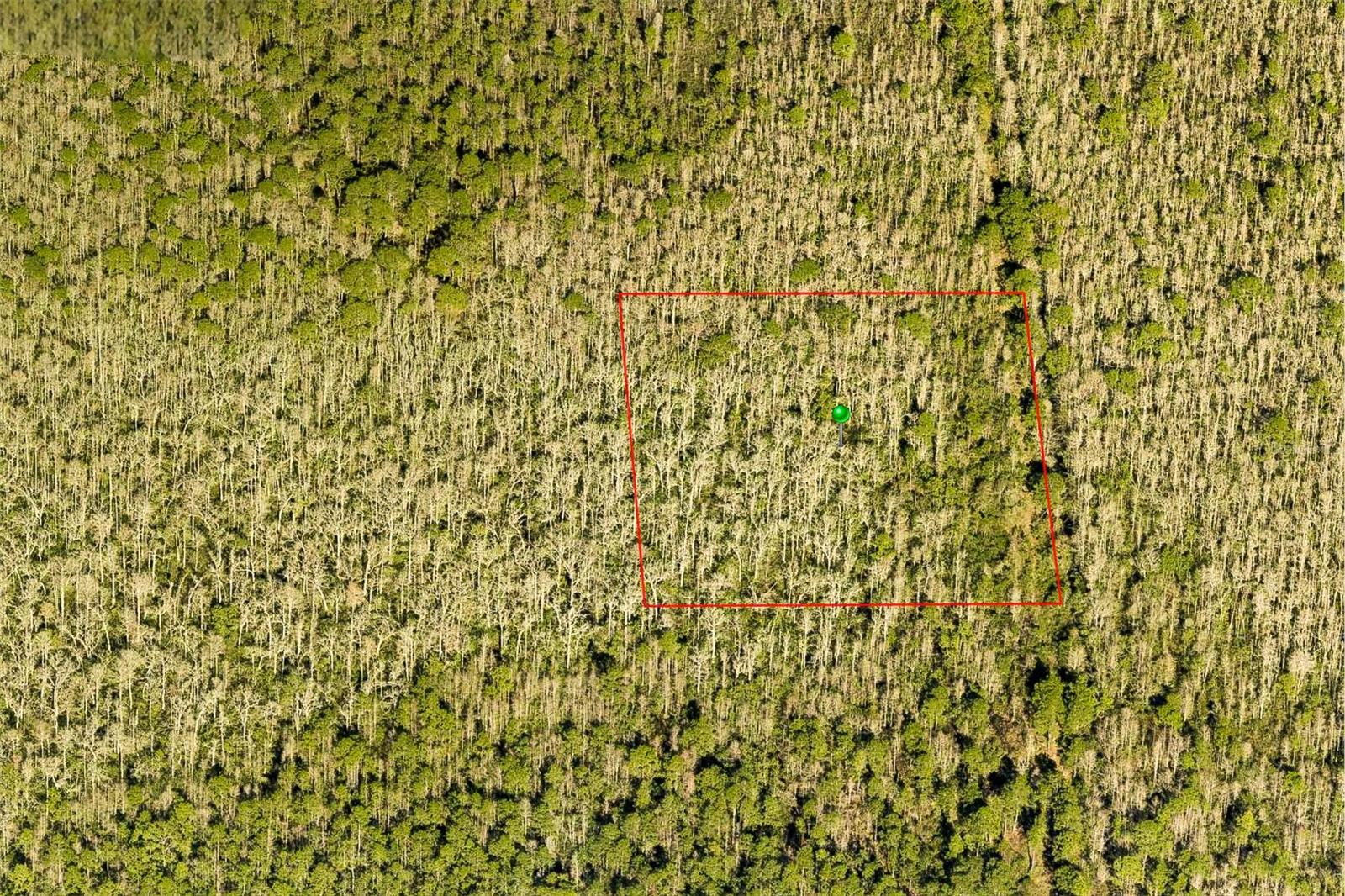 Secluded lot available in the University Highlands area of DeLand. Enjoy peace and privacy surrounded by natural beauty, with convenient access to local roads and nearby amenities. A great spot for future potential or as a quiet getaway. Buyer to verify land use and building options with the county. See it today! SELLER FINANCING AVAILABLE.