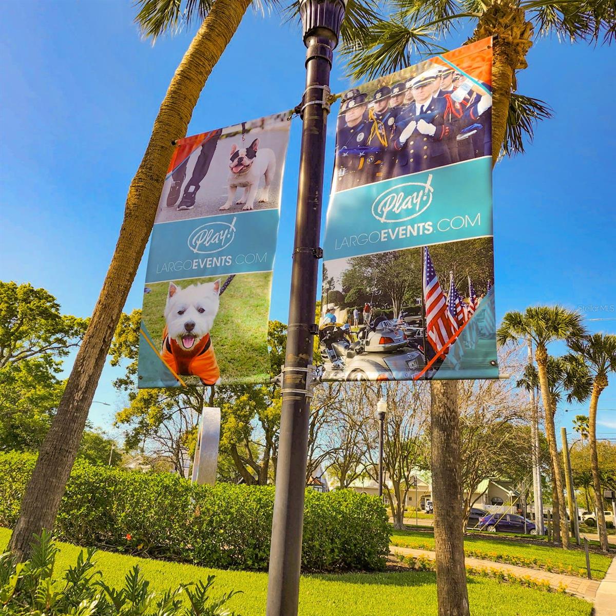 PENTHOUSE GREENS - Residential