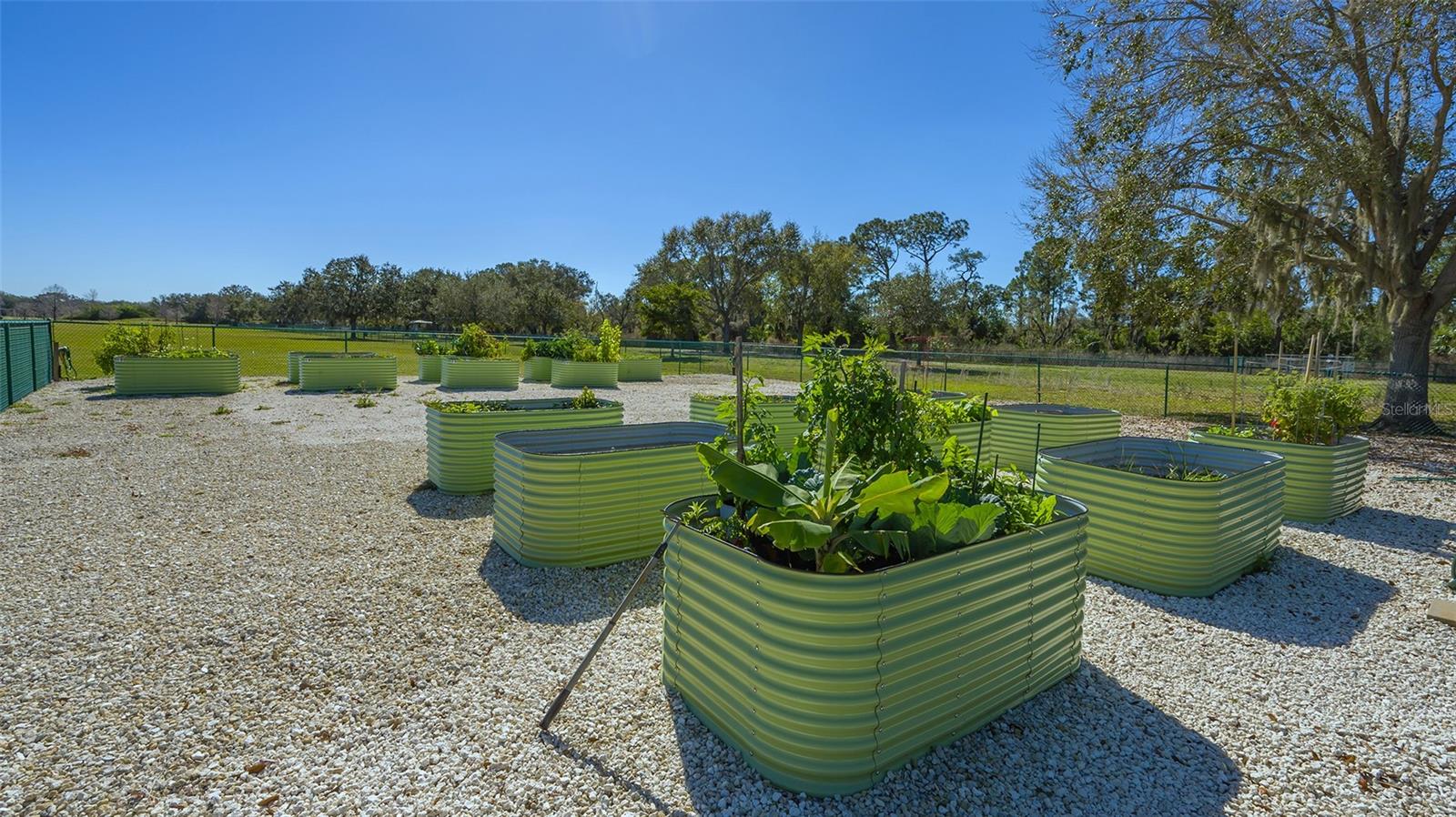 GREENBROOK VILLAGE SUBPHASE P - Residential