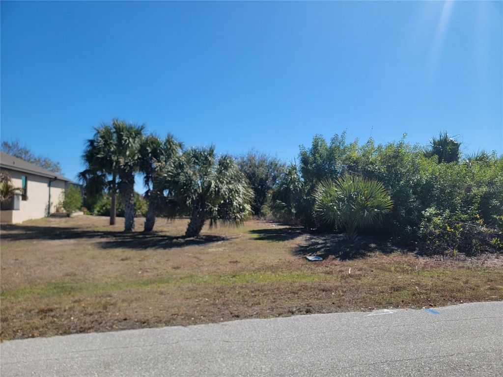 Photo of 13508 High Springs Avenue, Port Charlotte, FL 33981 (MLS # O6389846)