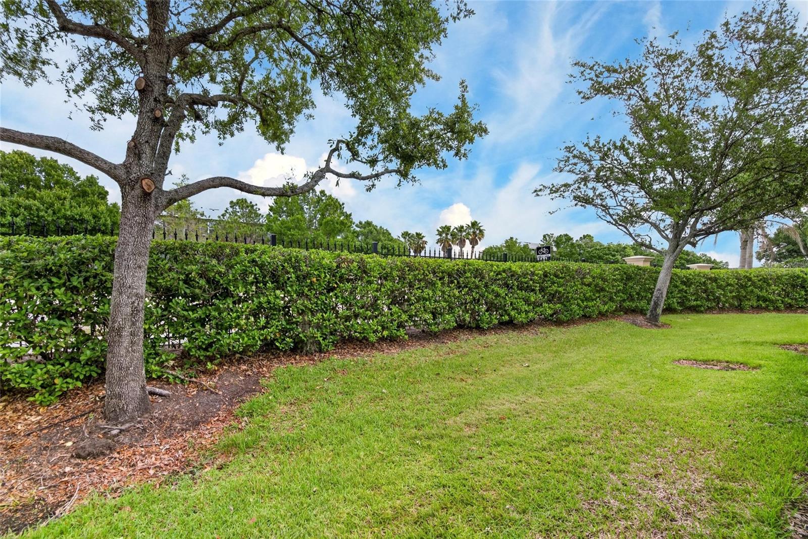 EDGEWATER AT LAKE BRANDON - Residential