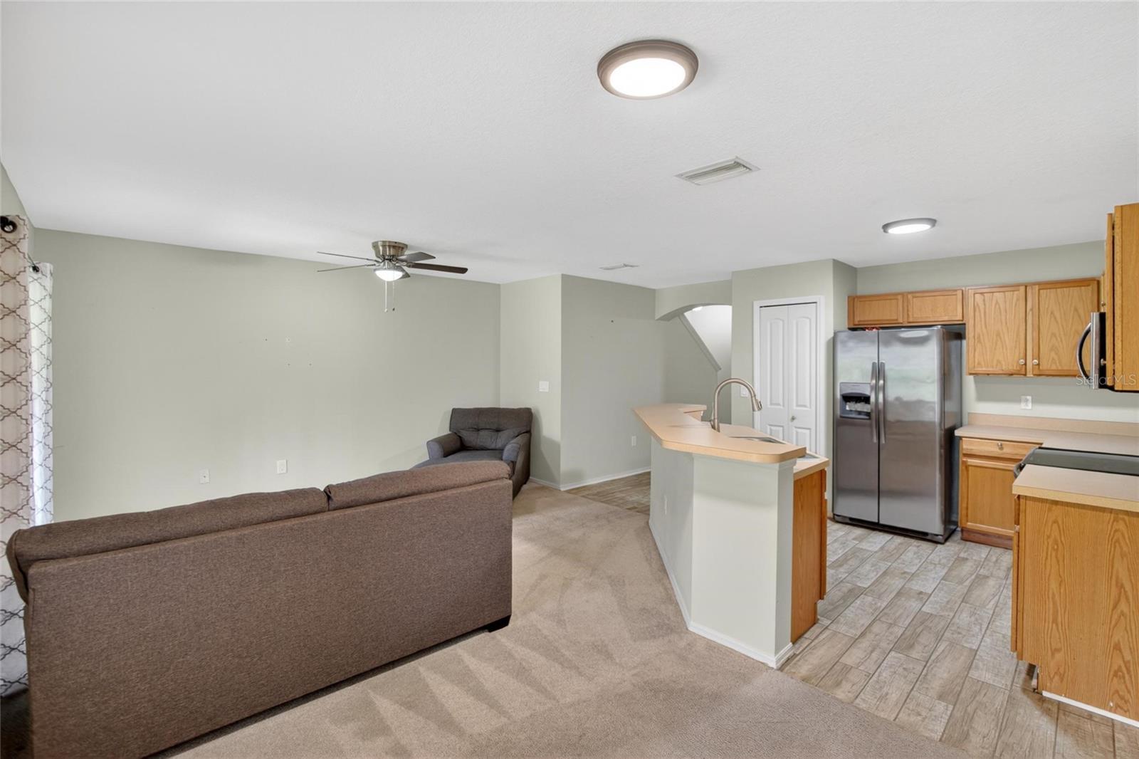 EDGEWATER AT LAKE BRANDON - Residential