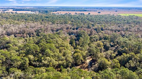 Tiny photo for 10377 SW 186th Avenue, Dunnellon, FL 34432 (MLS # OM717995)