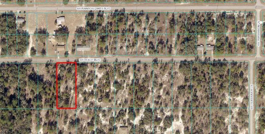 Community center with 2 playgrounds, basketball, Raquet ball and tennis courts; community library; Lake for bass fishing.  Convenient to downtown Dunnellon, Ocala, Gainesville, Crystal River, Gulf of Mexico, Rainbow River and the State Park.