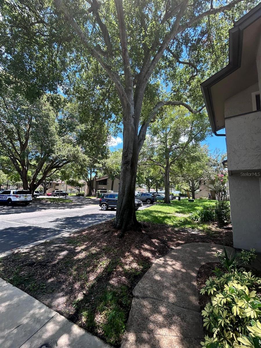 PARKVIEW VILLAGE CONDO - Residential