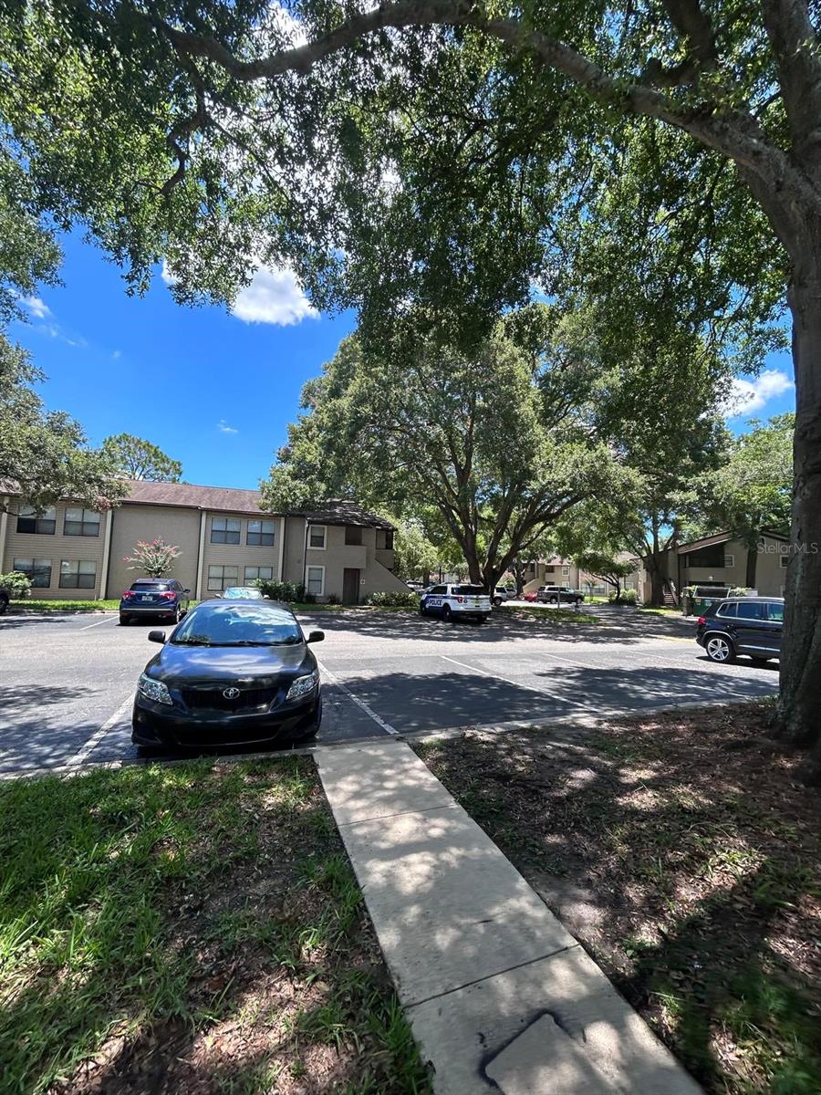 PARKVIEW VILLAGE CONDO - Residential