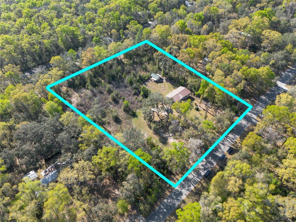 Photo of 16564 NW 85th Terrace, Fanning Springs, FL 32693 (MLS # GC538629)