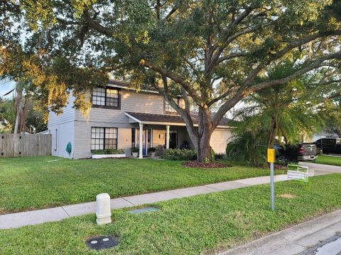 A home in TAMPA