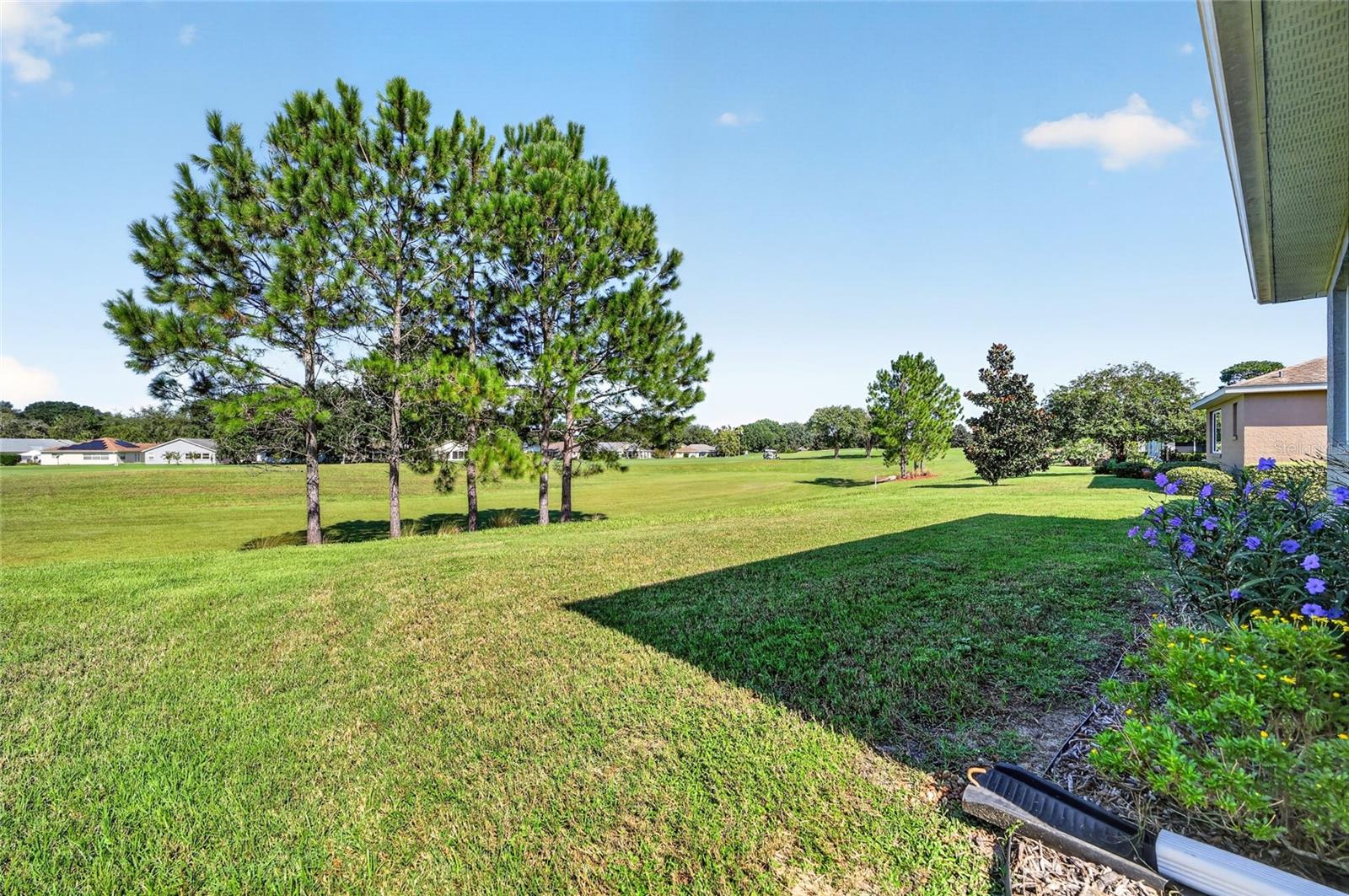 9154 SW 91ST COURT ROAD