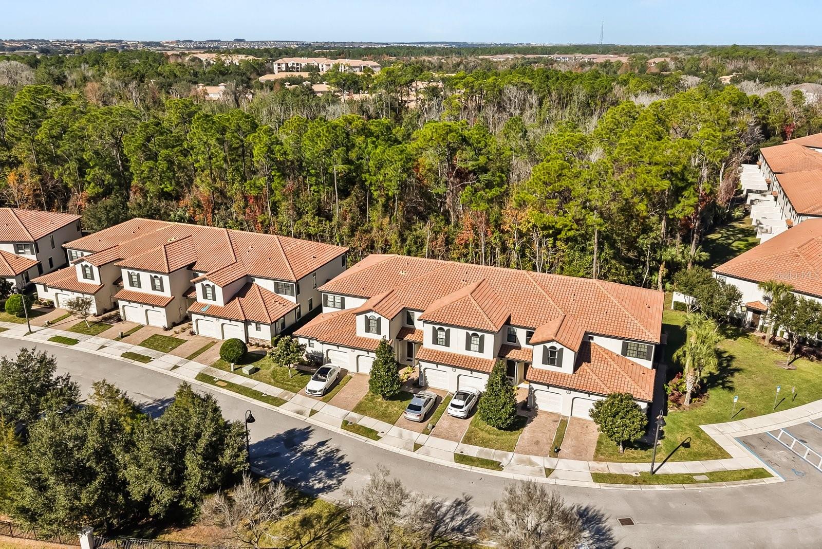 FOUNTAINS AT CHAMPIONSGATE PH 1 REP - Residential