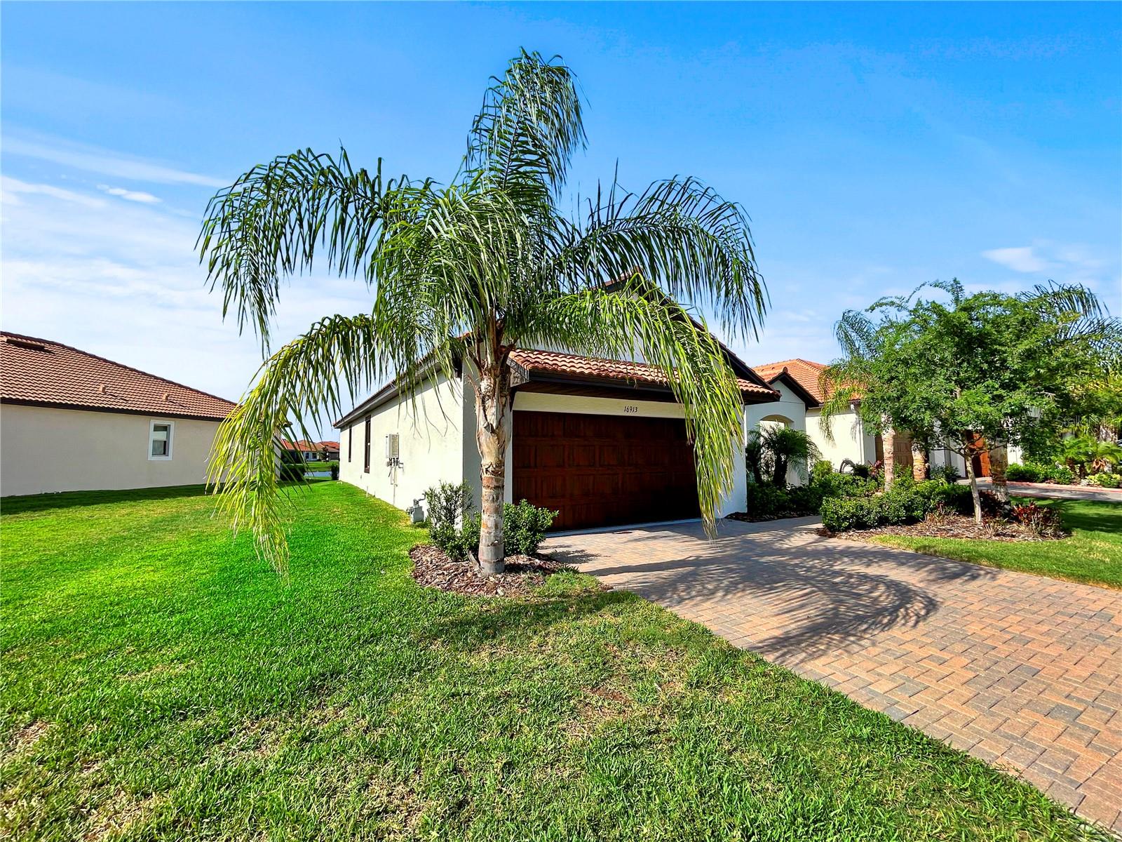 16913 ANCHOR ROOT STREET