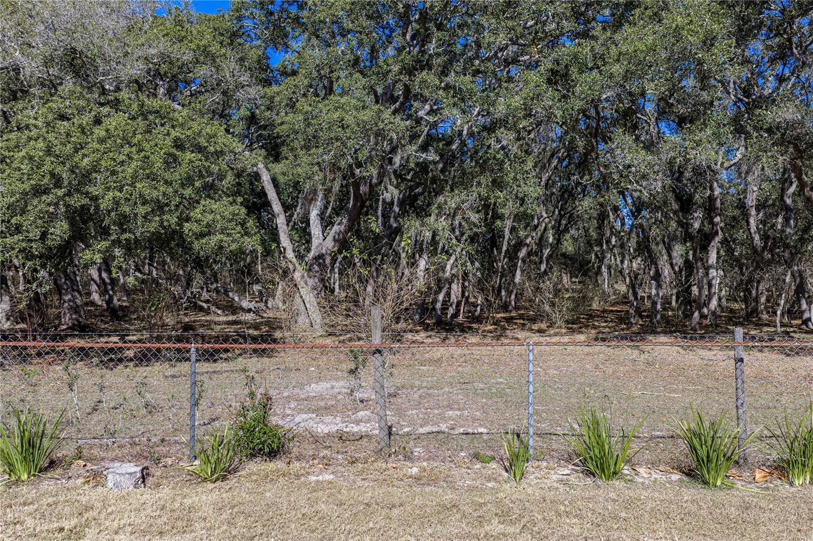 COUNTRY OAKS ESTATES - Residential