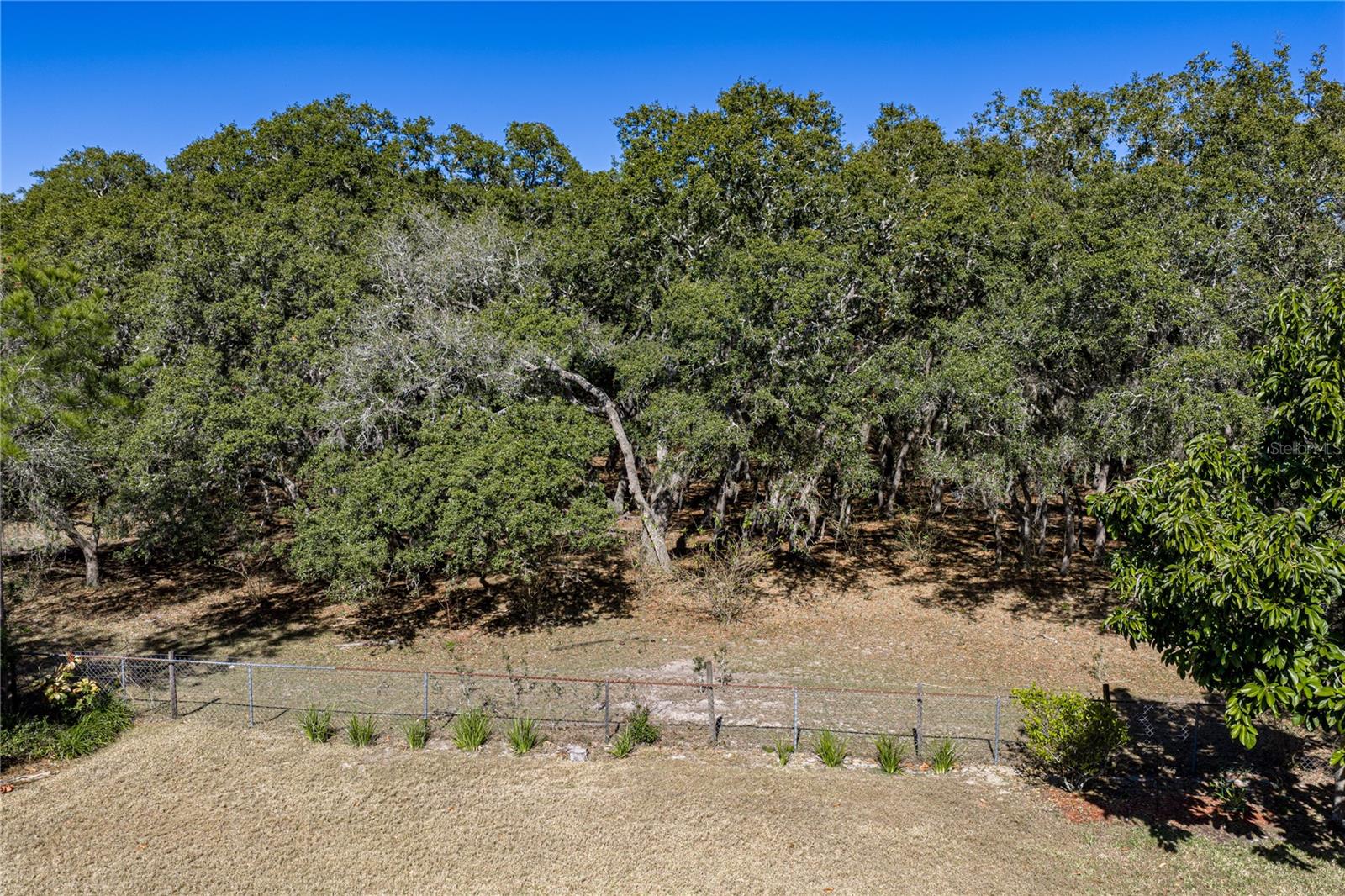 COUNTRY OAKS ESTATES - Residential