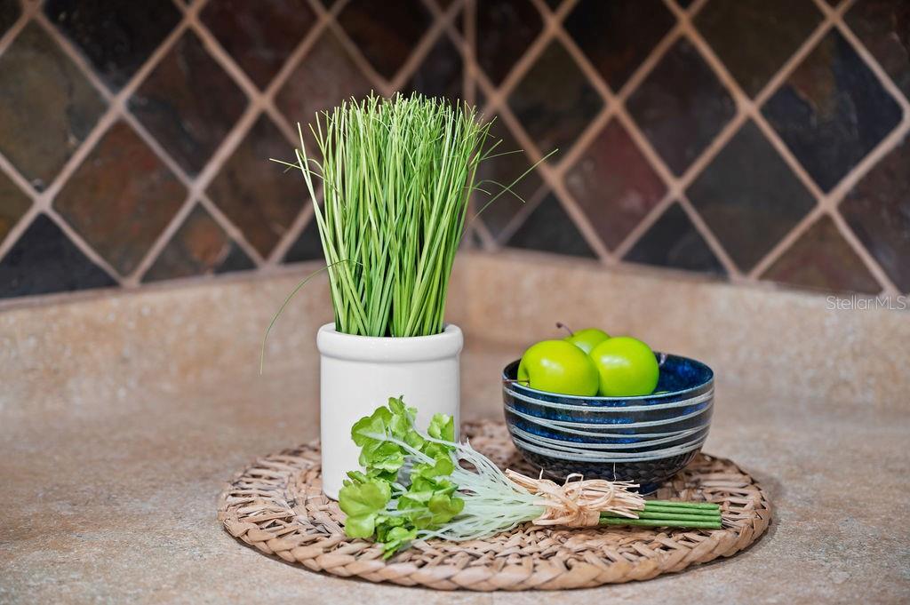 LAKE SARASOTA - Residential