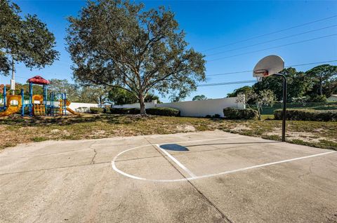 A home in PALM HARBOR