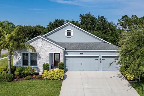 A home in MOUNT DORA