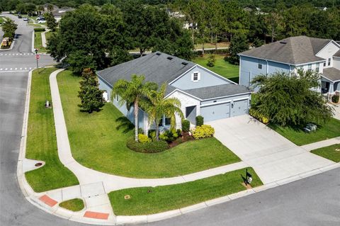 A home in MOUNT DORA